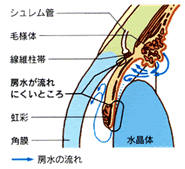 房水の流れ