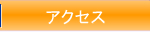 �A�N�Z�X